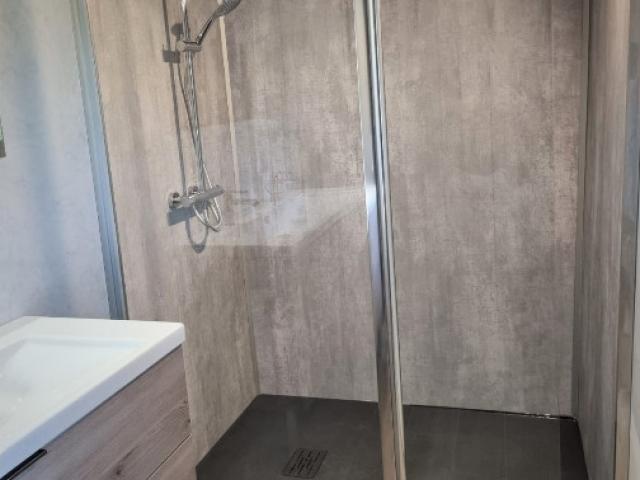 Rénovation d'une salle de douche associant caractère et modernité 